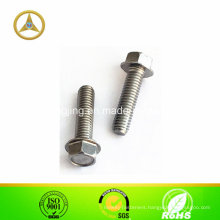 Stainless Steel Hex Serrated Flange Screw